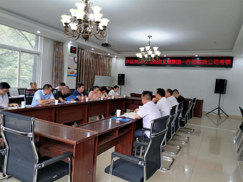凉山工投集团公司赴宁南县工业（矿山）企业学习考察