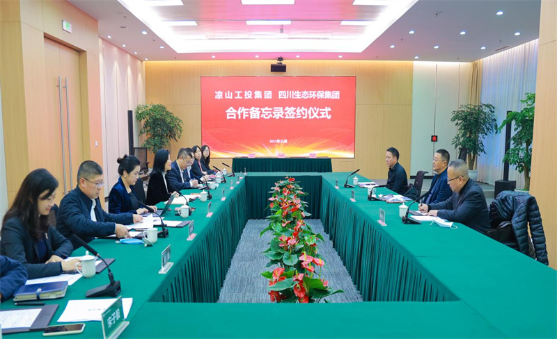 凉山州国有工业投资发展集团有限责任公司
