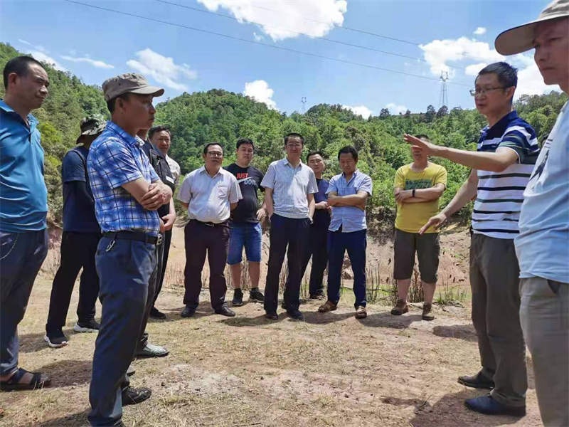凉山工投集团党委副书记、总经理杨云