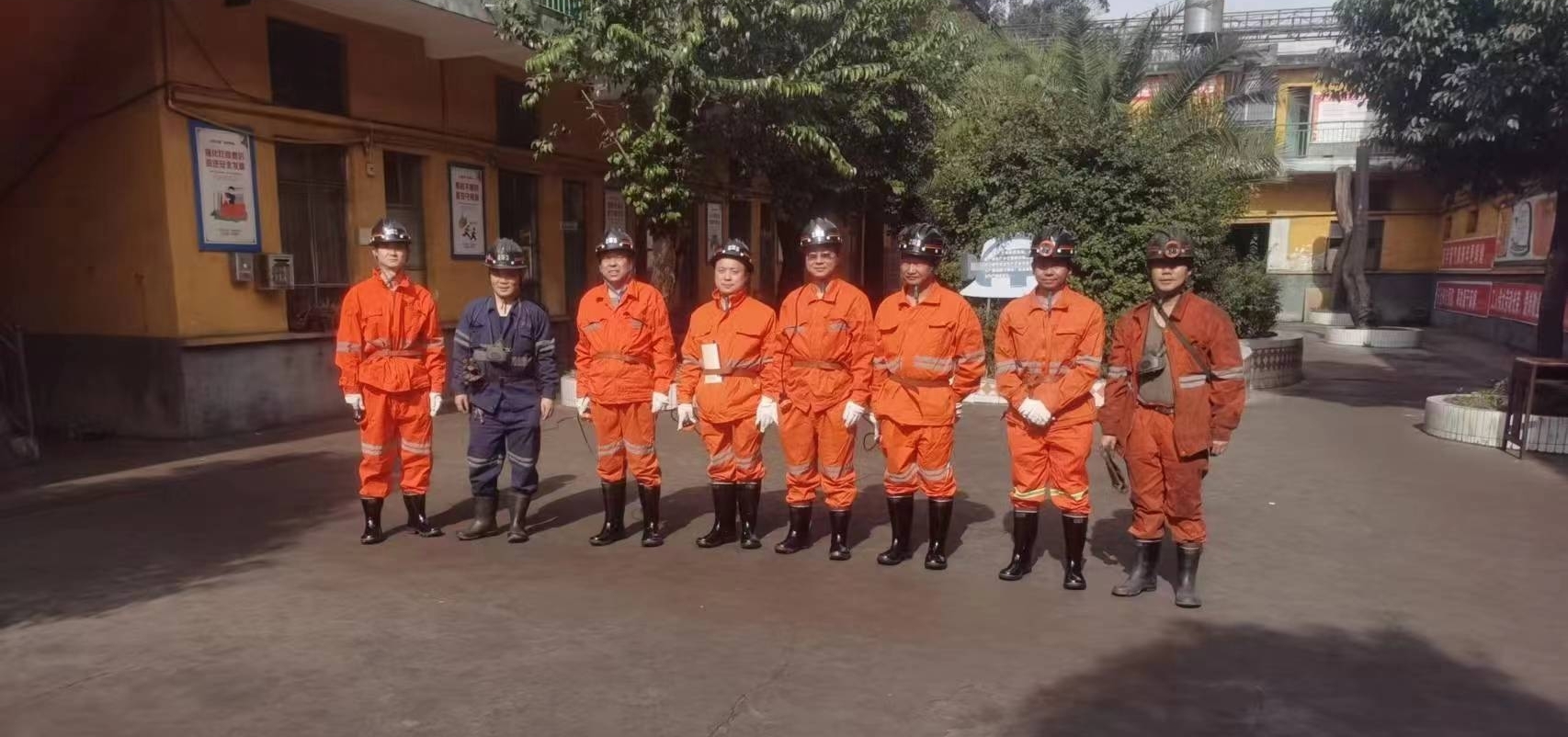 图片3