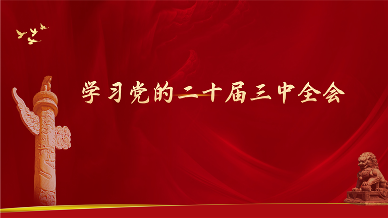 学习宣传贯彻党的二十届三中全会精神