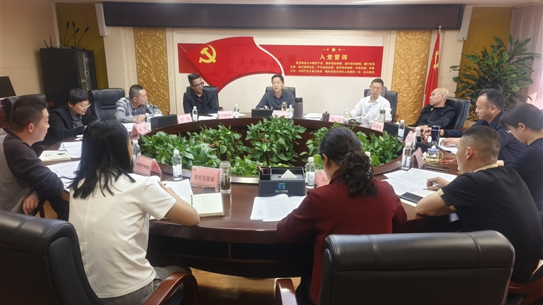 凉山工投集团召开党委(扩大）会议传达学习全州国资国企工作会议精神